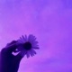 Jane Kyun feat RD Roy Single