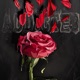 Addicted Single