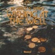 Wishing At The Well Single