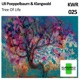 Tree of Life Single