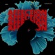 Affection Single