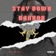 Stay Down Single