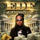 NEVER CHA e CAT Single