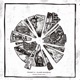 Glass Survival Single
