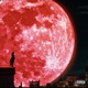 Blood Moon Single