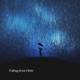 Falling from Orbit Single