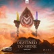 Destined to Shine feat MARE Single