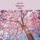 bloom feat M4R10 Single