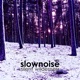 Silent Wilderness