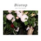 Biotop Single feat Rui Fujishiro Single