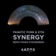 Synergy Single