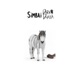 Saddle Pony Single