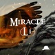 Miracle L1 Single