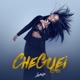 Cheguei Remixes Single