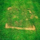 Where the Grass Is Greener Single