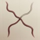 Crossline Captures EP