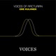 Voices of Arturian EP