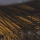 Dead Inside feat Aoyoru Single