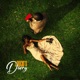 LOOCID S DIARY EP