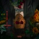 Mademoiselle feat Chris Kabs Single