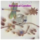 Botanical Candies Single
