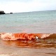 BLOOD ON the BEACH feat apt88 Single