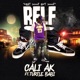 R F L F feat Turtle Babi Single