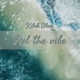 Feel The Vibe Single
