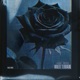 Dark Rose EP