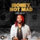 Money Not Mad Single