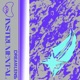 DreamLens Instrumental Instrumental