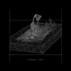 You feat ToxSin Single