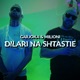 Dilari Na Shtastie feat Milioni Single