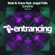 Sunshine feat Angel Falls Single