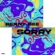 Sorry Single