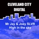 High in the Sky Single