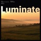 Luminate Single