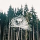 Nest Single
