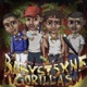 BABYST5XNE GORILLAS