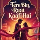 Tere Bin Raat Kaafi Hai Single