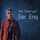 Ser Enq Single