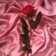 Romance feat Leith Single