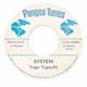 System feat IAZVI Single