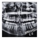 DEUTERONOMIO 6 16 Single