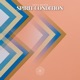 Spirit Condition Single