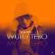 Wulo Tebo Single