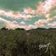 Cloud Single