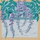 Fuji Single
