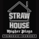 Higher Playa feat SKUNKBOYZ Single