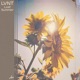 Last Summer Single